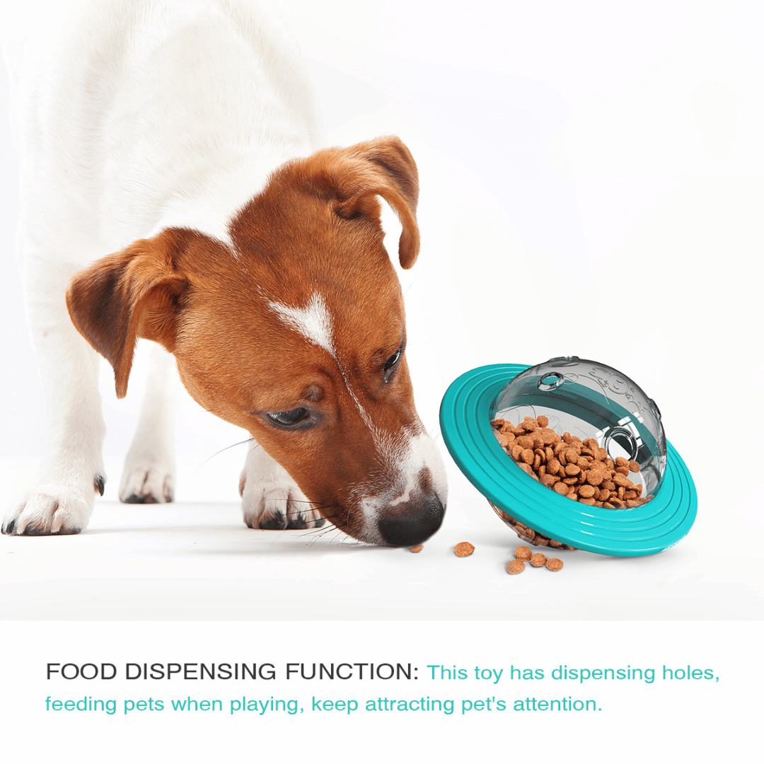 Interactive Dog Toy Slow Feeder Puzzle