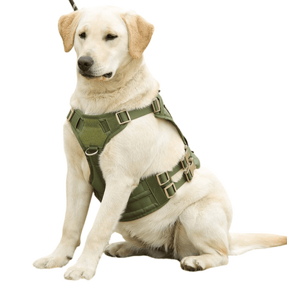 Large Breed Dog Vest With Handle Durable Outdoor