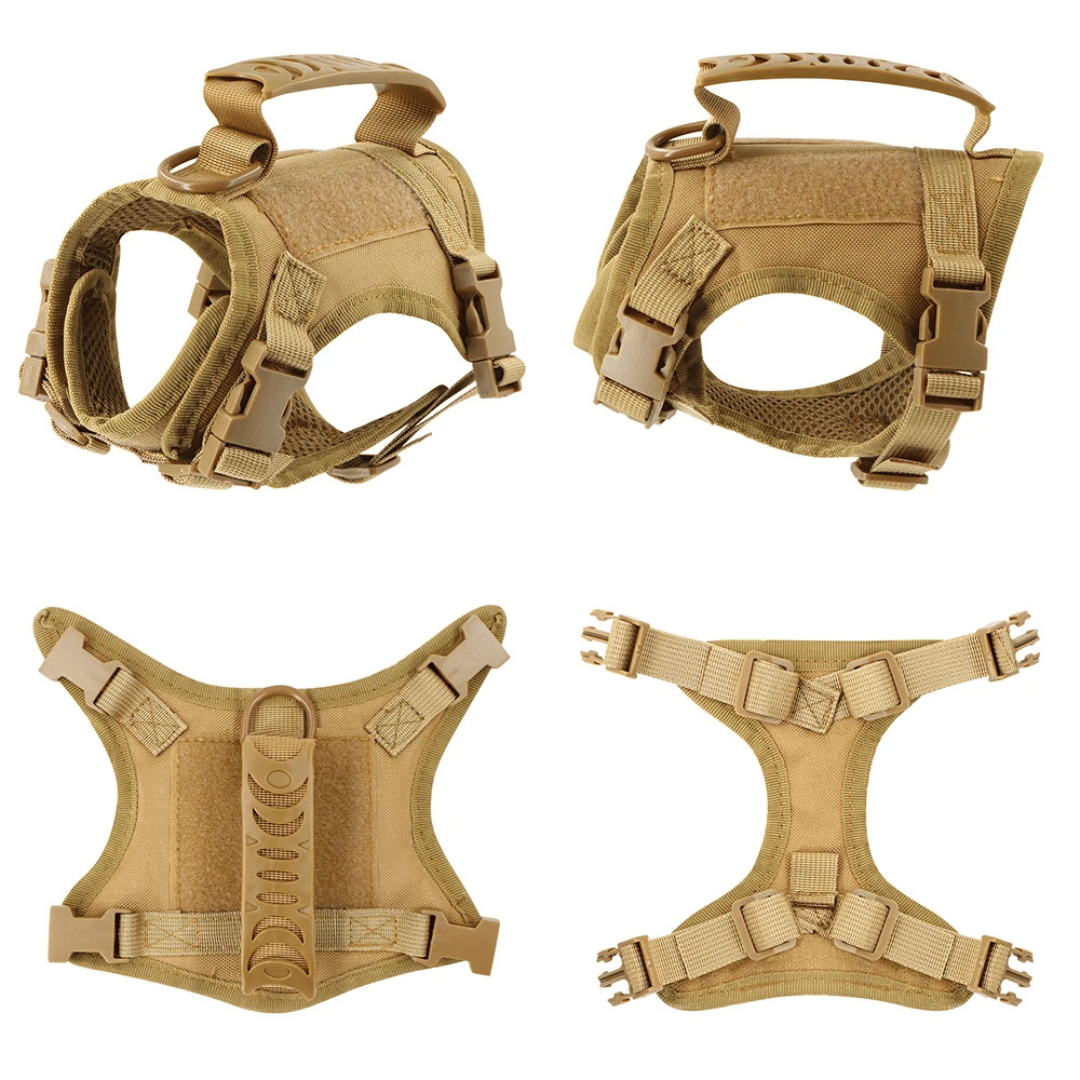 Durable Cat Vest And Leash Set