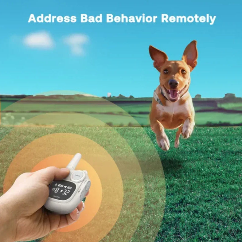 Small Dog Training Collar Long Battery Life