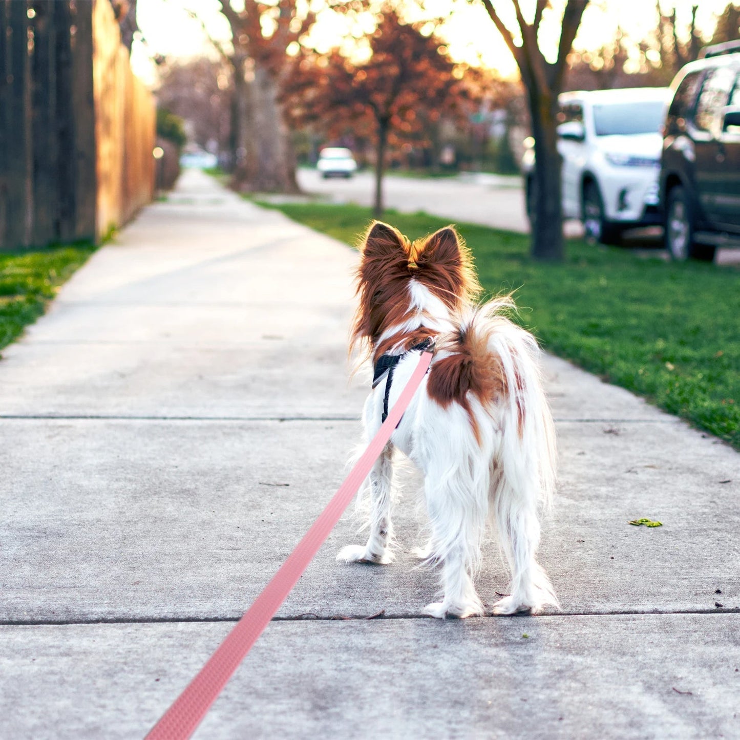 Silicone Heavy Duty Dog Leash