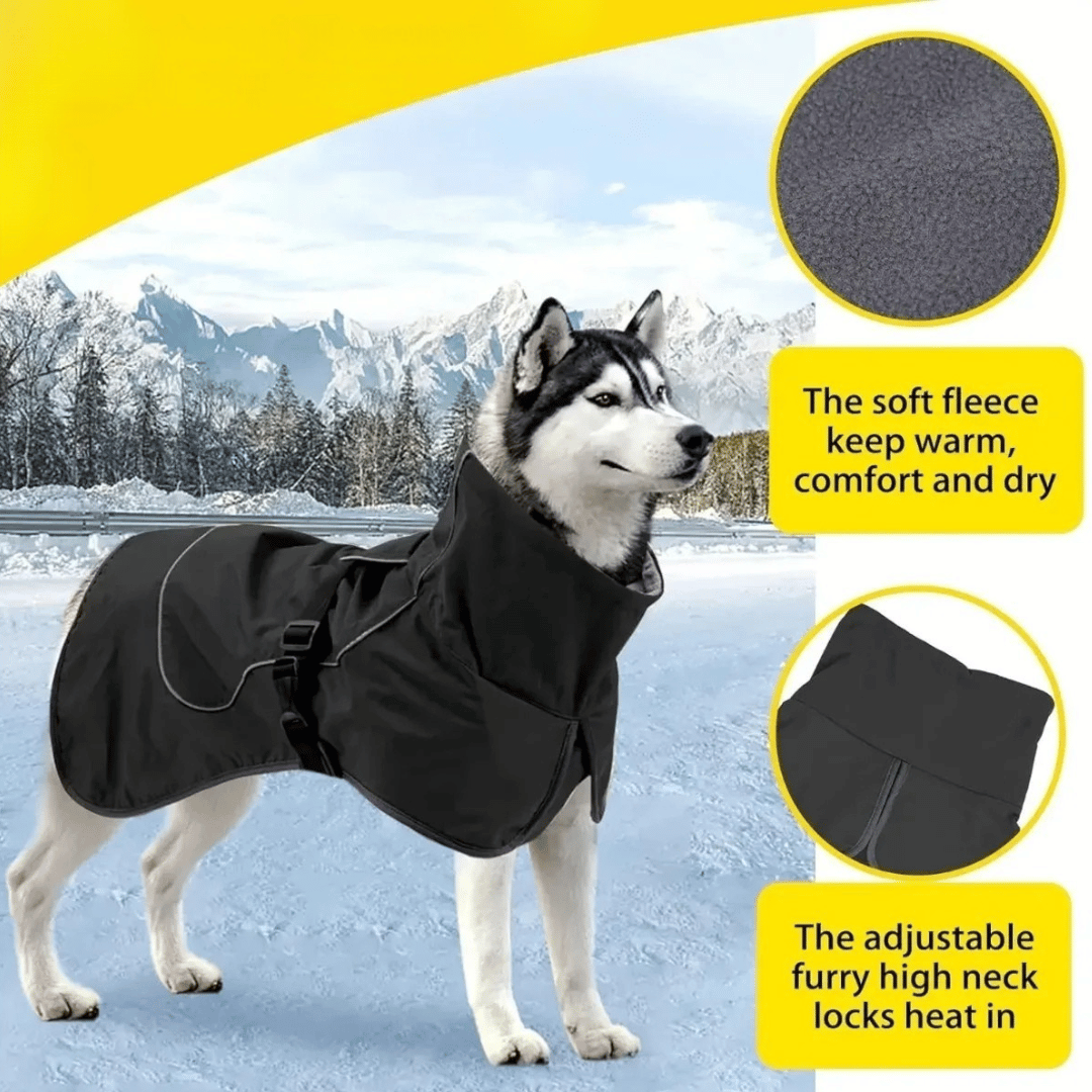 Insulated Dog Winter Coat