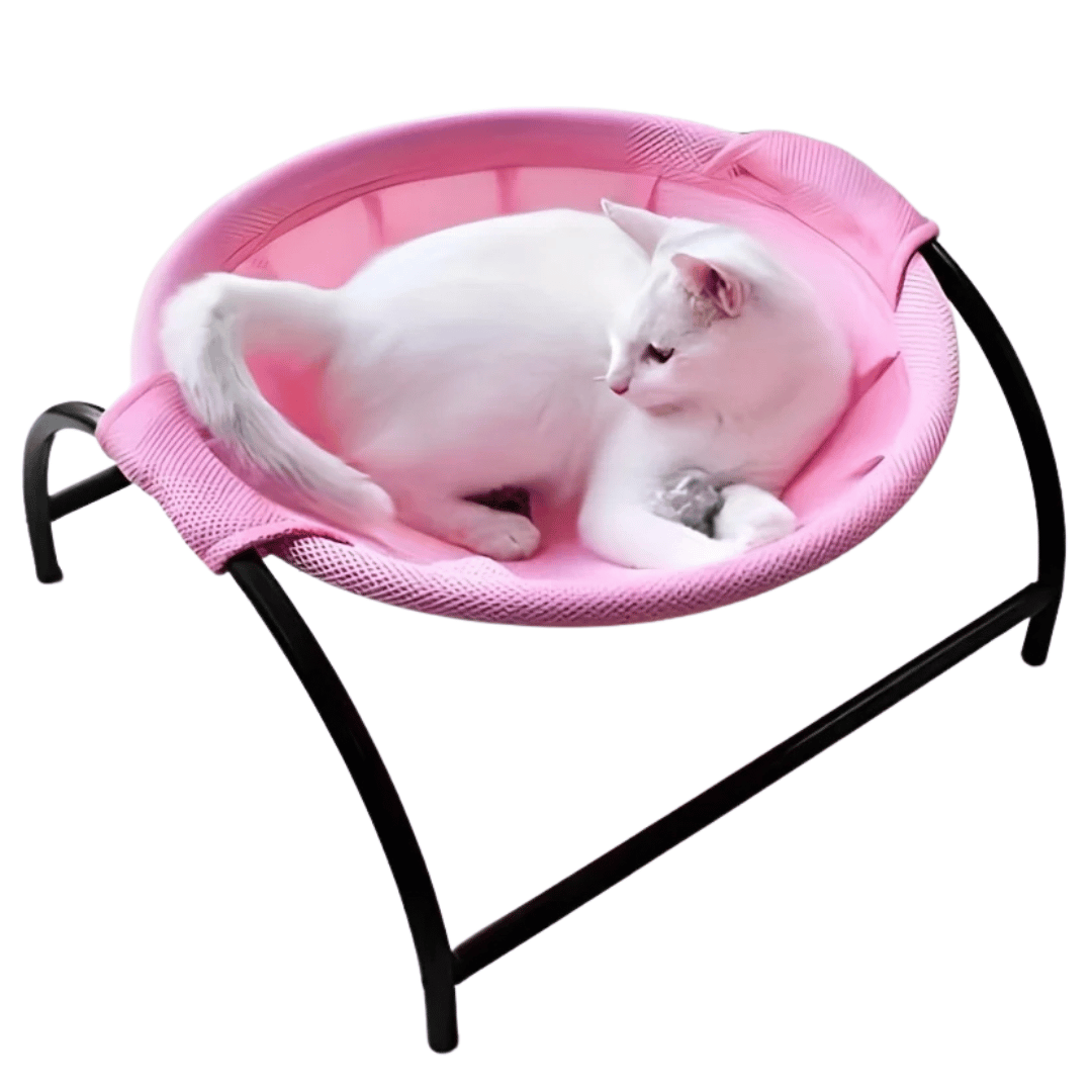 Wooden Cat Hammock Bed Solid Frame