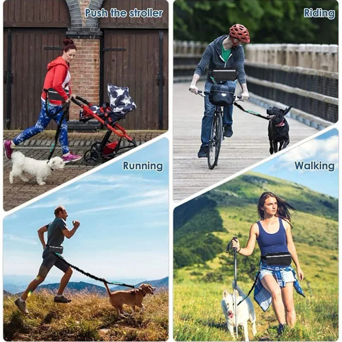 Running Belt Phone Pocket Water Bottle Holder