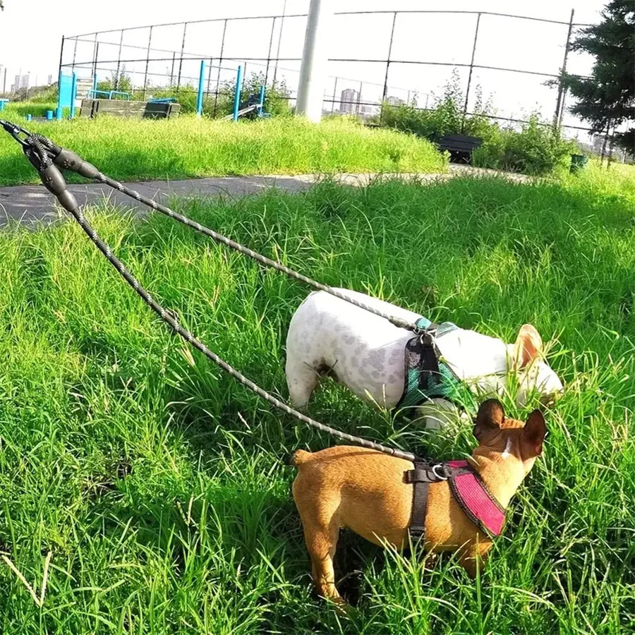 Extra Long Pet Leash Extender Tangle Swivel Clip