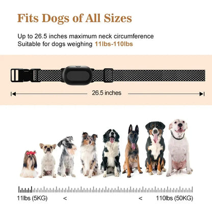 Remote Dog Training Collar Long Range