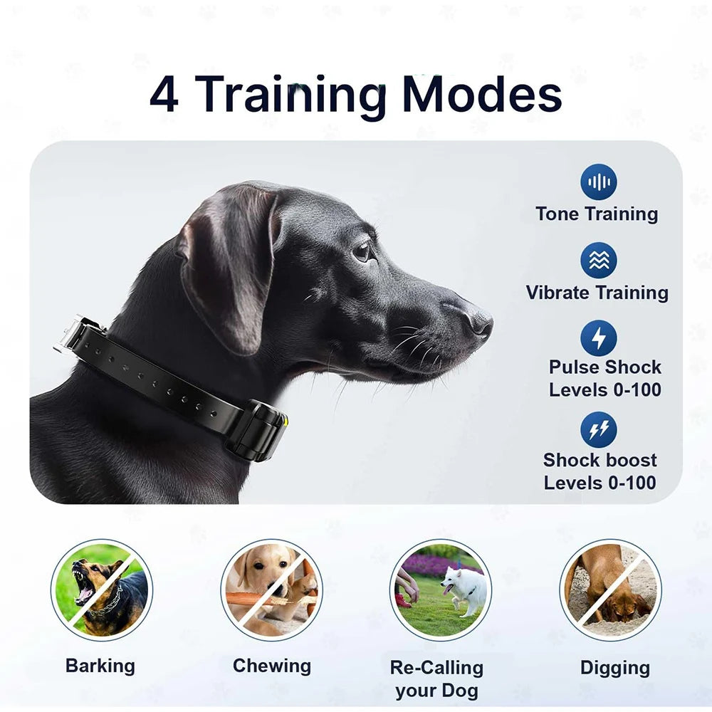 Long Range Remote Dog Training Collar Large Breed