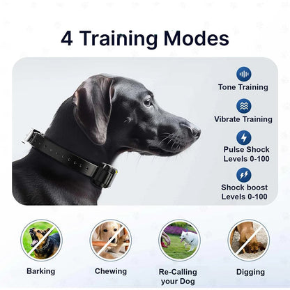 Long Range Remote Dog Training Collar Large Breed