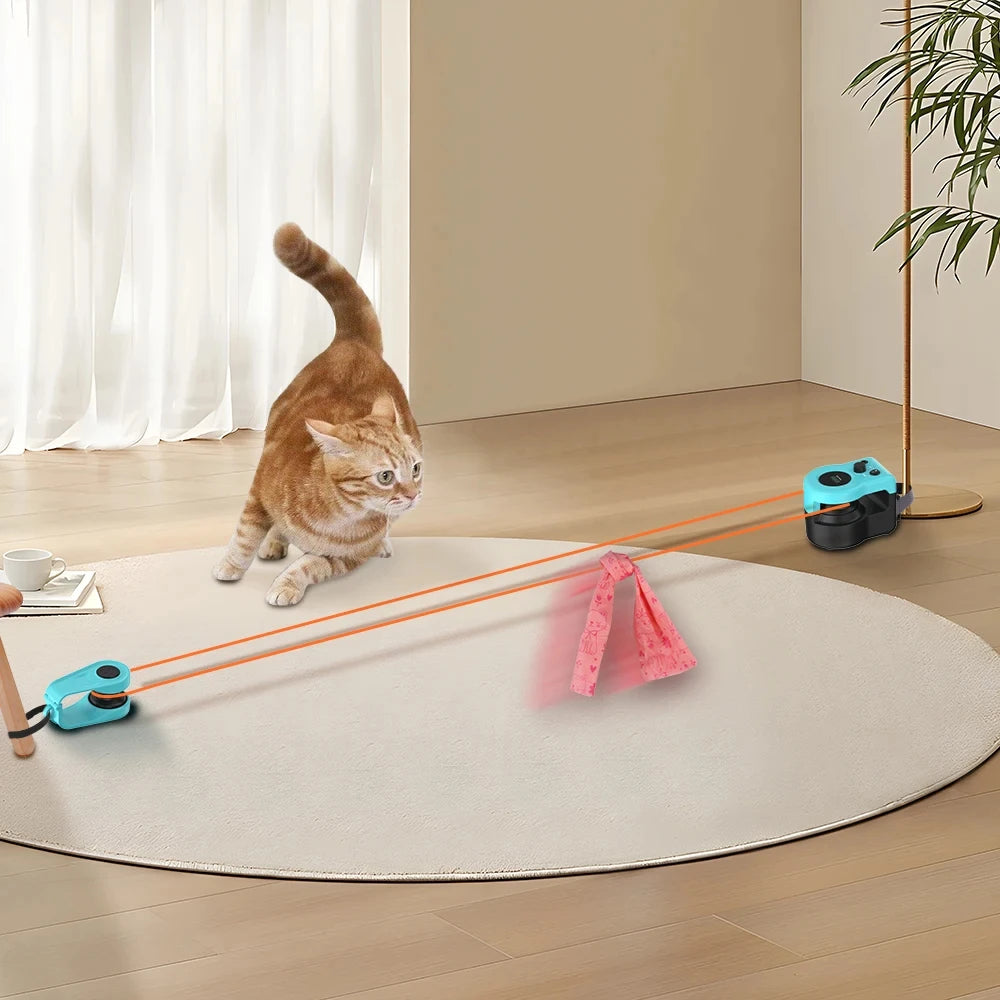 Cat Laser Pointer Red Dot Toy
