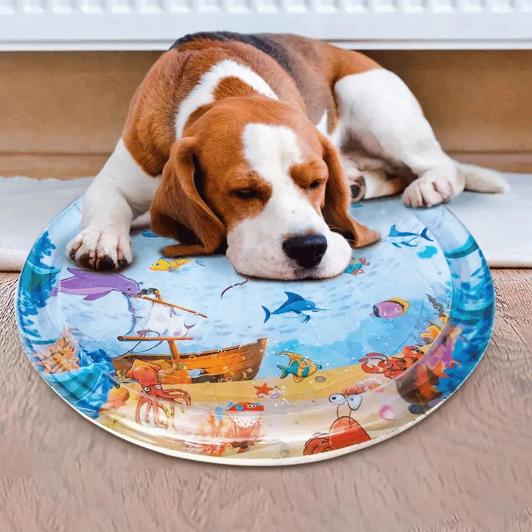 Inflatable Pet Water Bed Mat Soft