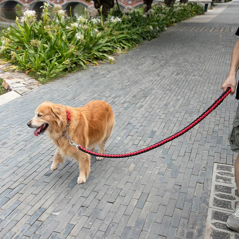 Durable Braided Dog Leash