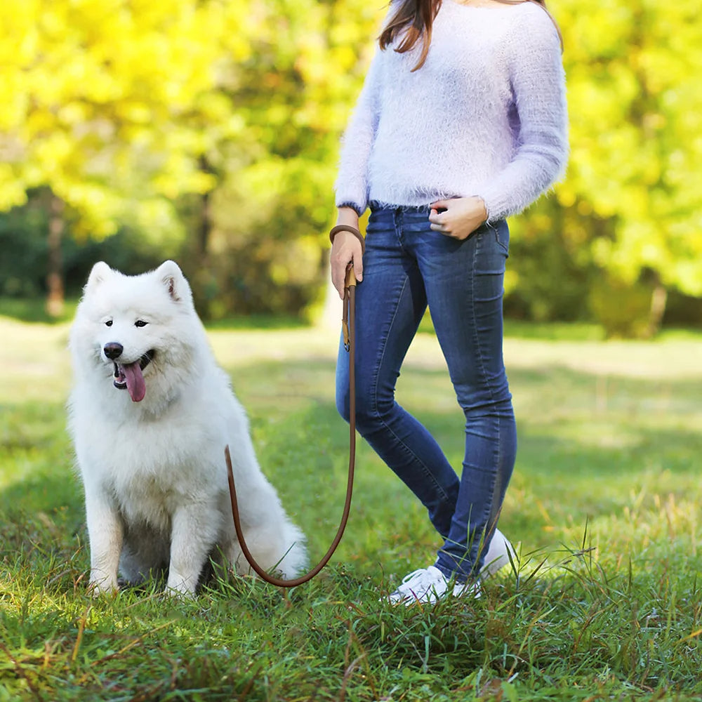 Adjustable Running Dog Leash Strap