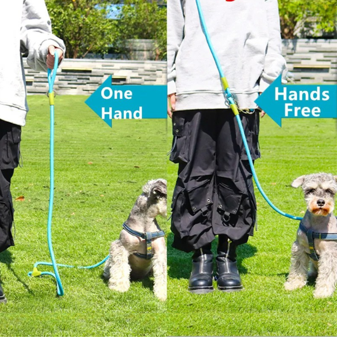 Durable Reflective Dog Leash For Large Breeds Running Walking
