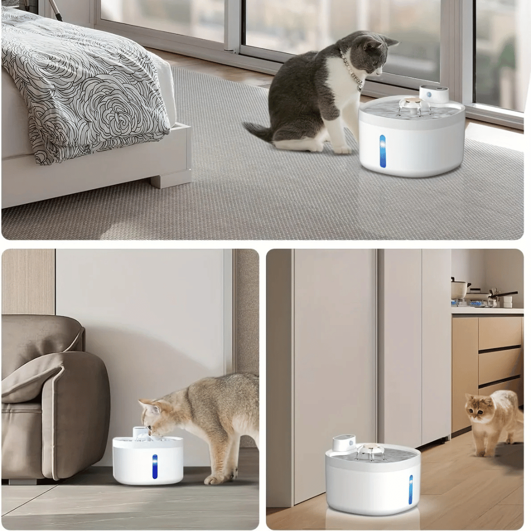 Pet Water Dispenser Automatic Refill for Cats Dogs