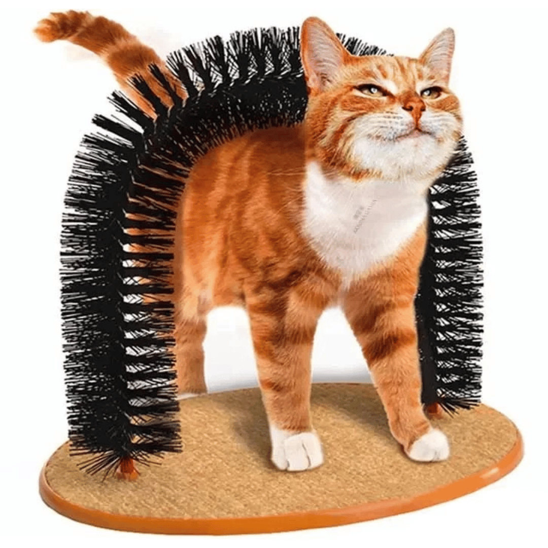 Cat Arch Grooming Brush Scratch Play - Pupporia