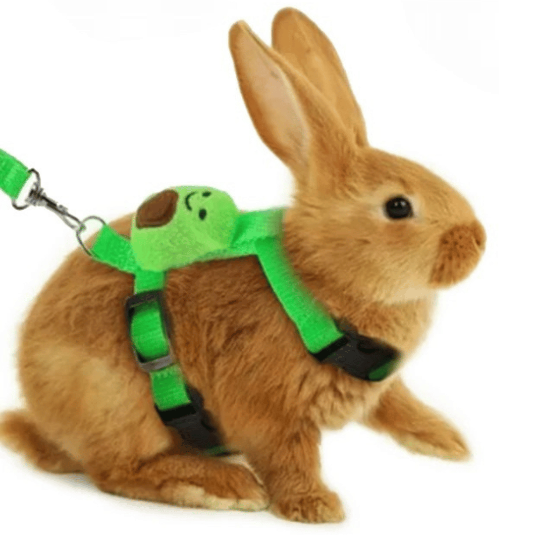 Bunny Harness Leash Set Comfortable - Pupporia