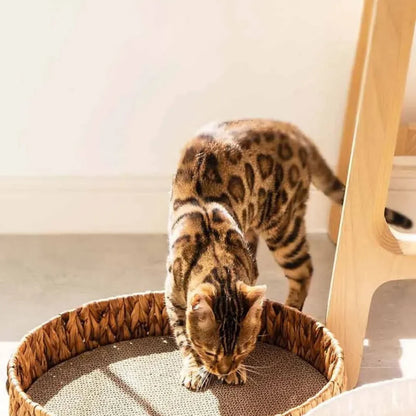 WillowDream Wicker Cat Bed Natural Fiber