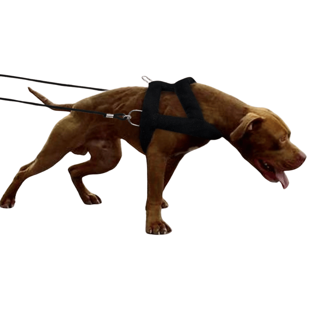 Tough Dog Pulling Harness Padded Support