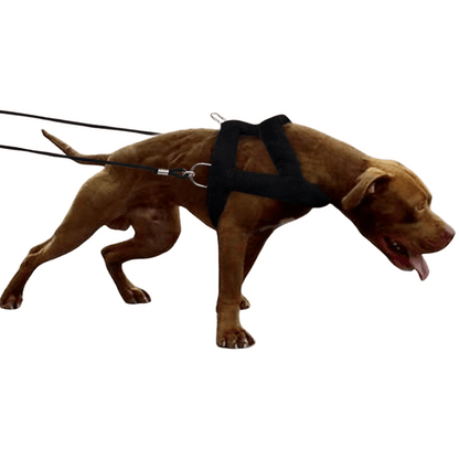 Tough Dog Pulling Harness Padded Support