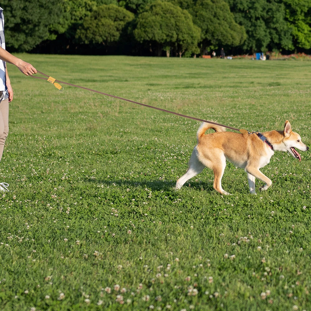 Adjustable Running Dog Leash Strap