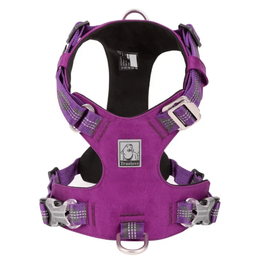 Adjustable Breathable Dog Vest