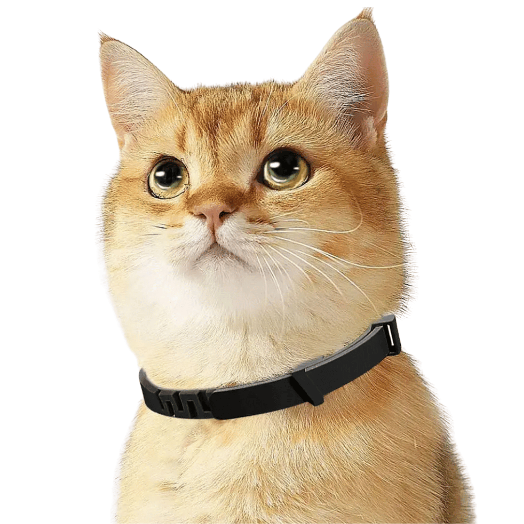Cat Calming Collar Soothing Pheromones