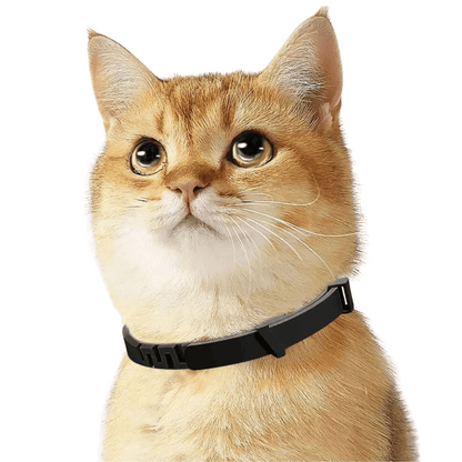 Cat Calming Collar Soothing Pheromones