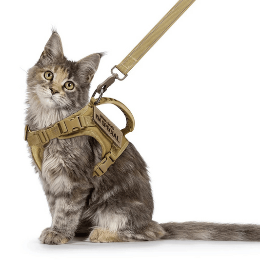 Durable Cat Vest And Leash Set - Pupporia