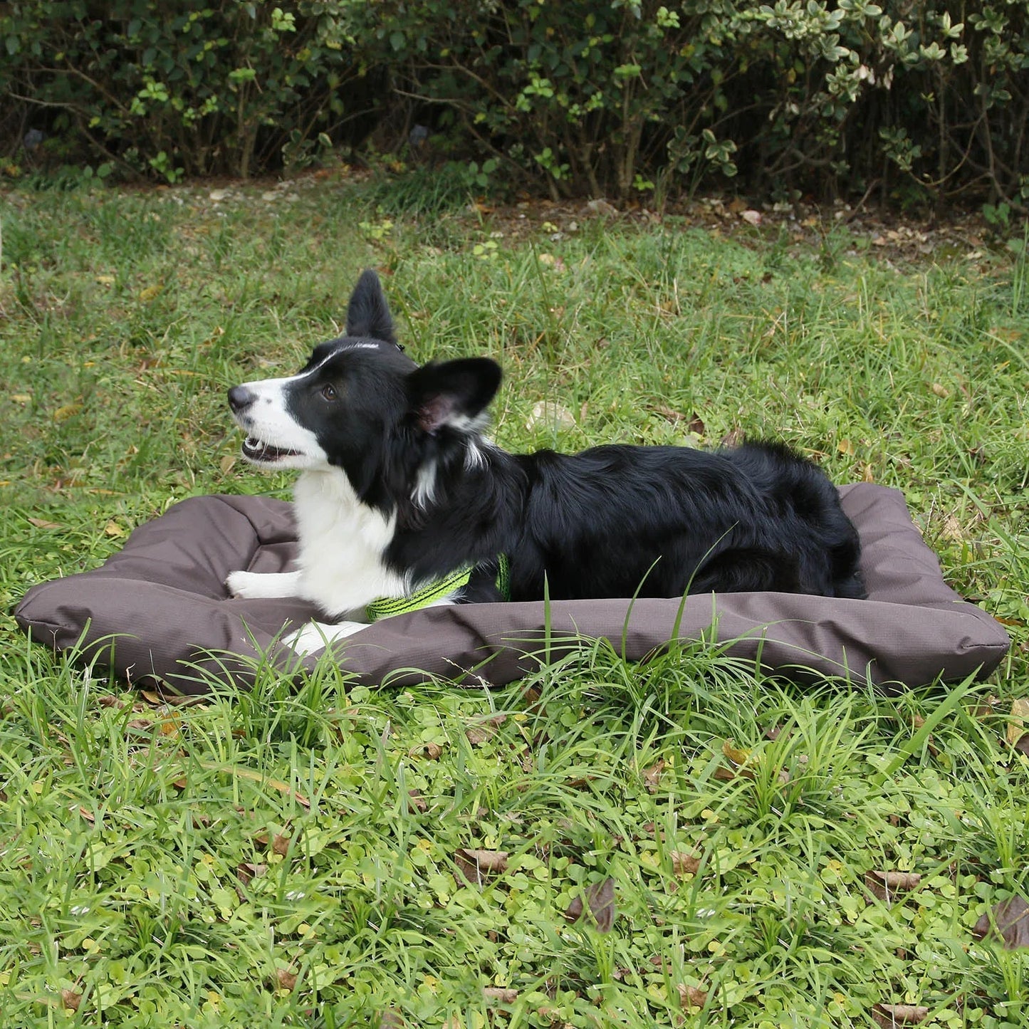 Waterproof Pet Travel Mat