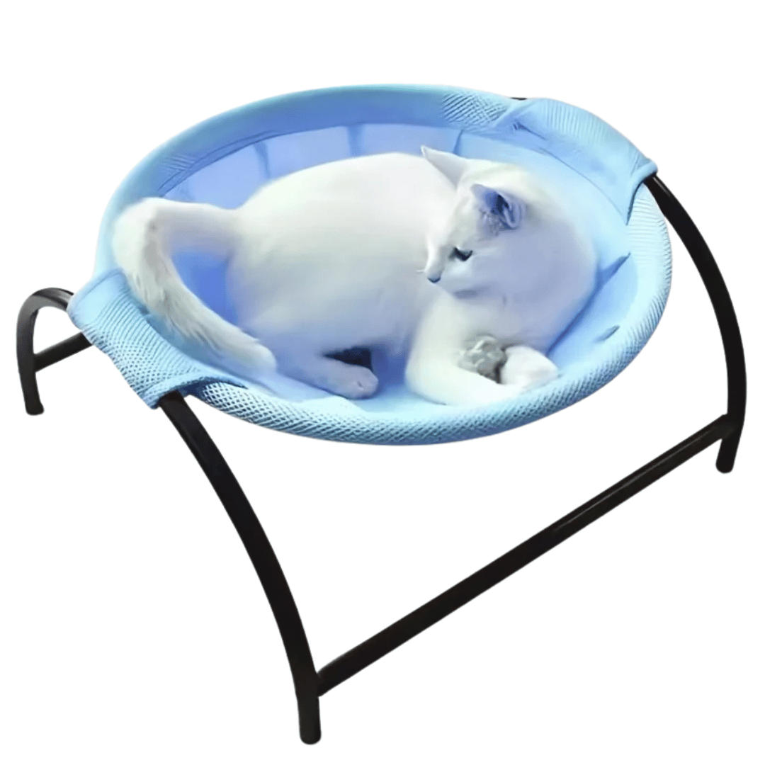 Wooden Cat Hammock Bed Solid Frame