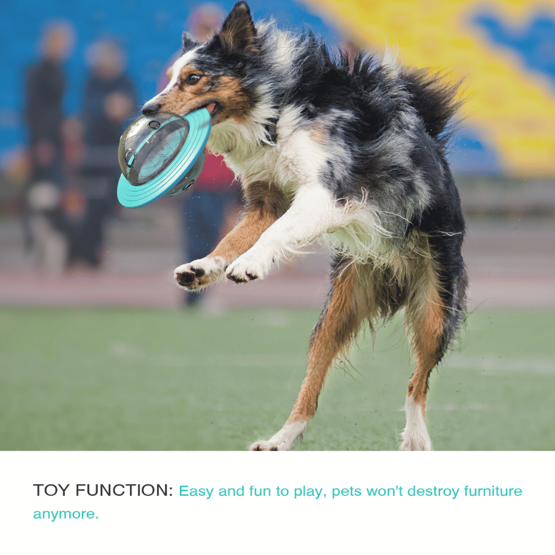 Interactive Dog Toy Slow Feeder Puzzle