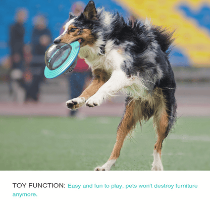 Interactive Dog Toy Slow Feeder Puzzle