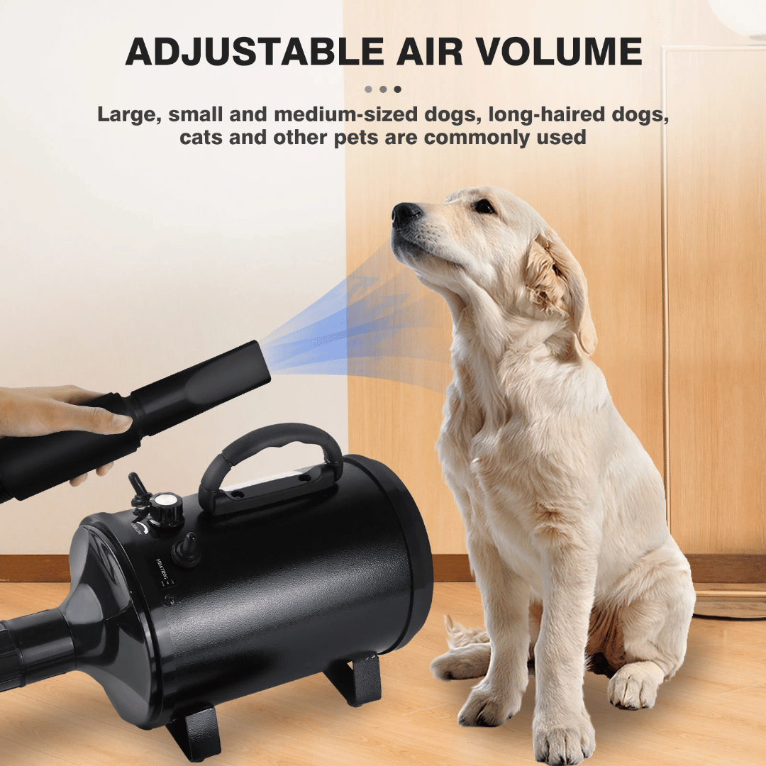 Pet Dryer Adjustable Heat Interchangeable Tips