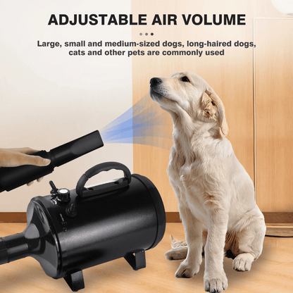 Pet Dryer Adjustable Heat Interchangeable Tips