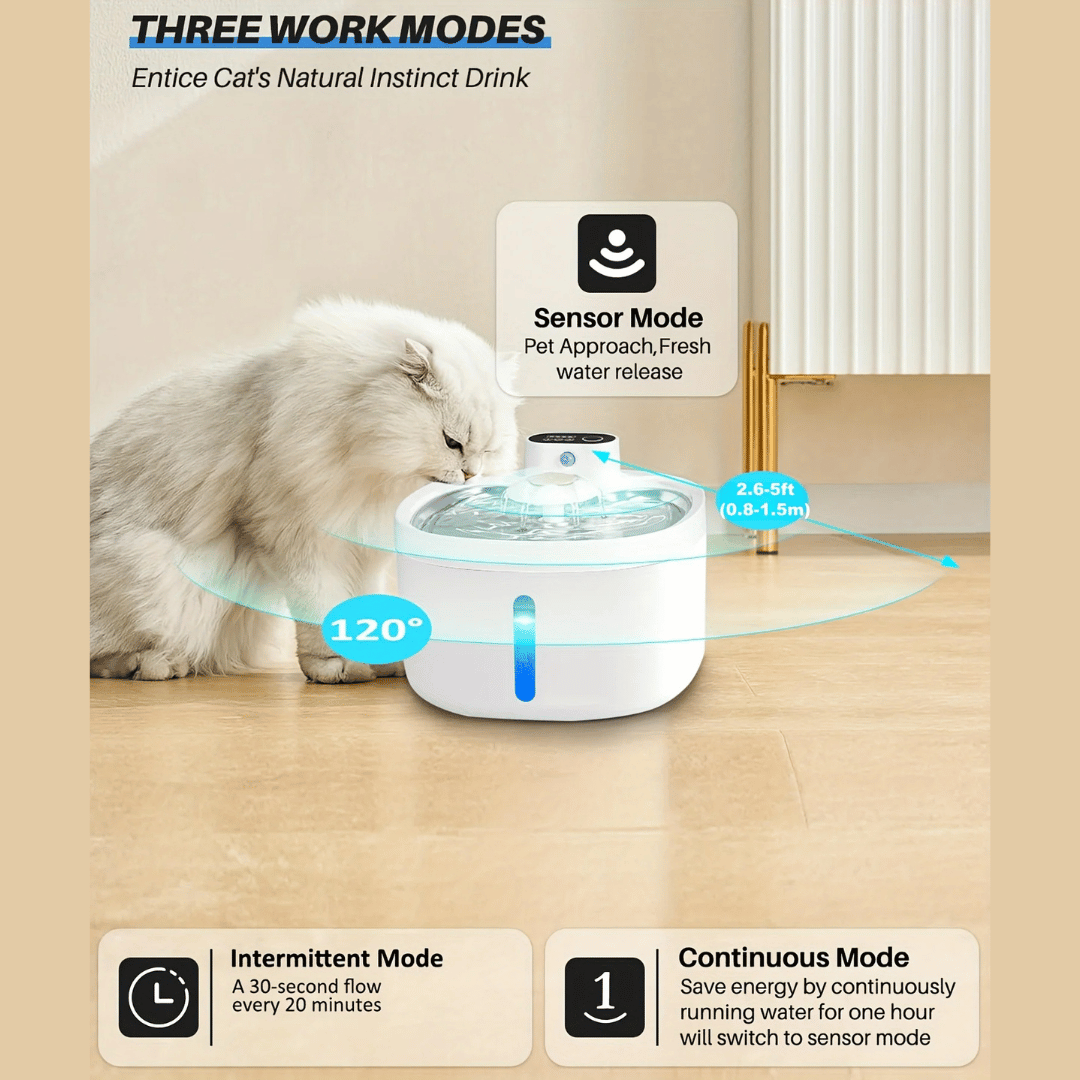 Pet Water Dispenser Automatic Refill for Cats Dogs
