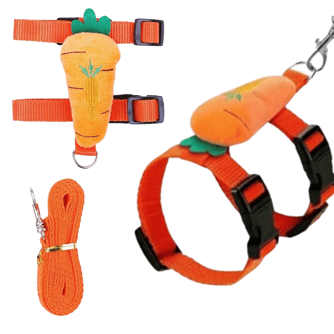 Bunny Harness Leash Set Comfortable
