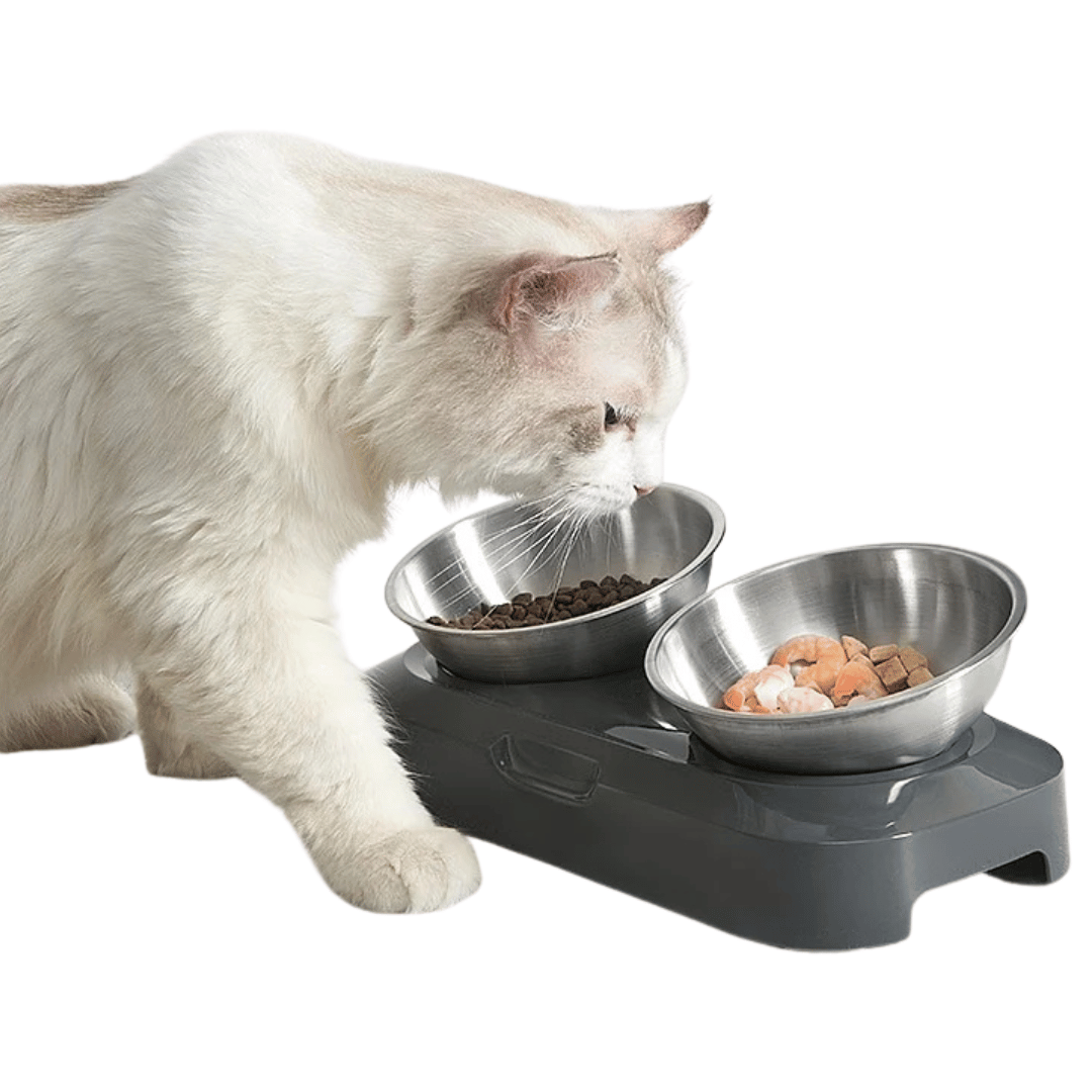 Adjustable Pet Feeder Stainless Steel Food Bowls