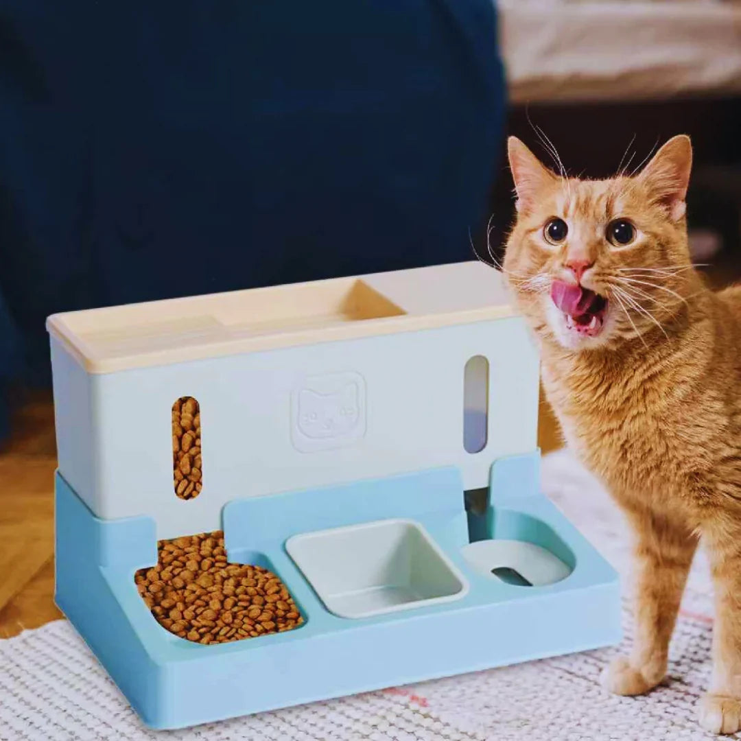 Automatic Pet Feeder Station