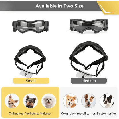 Dog Sunglasses Small Breed Eye Protection