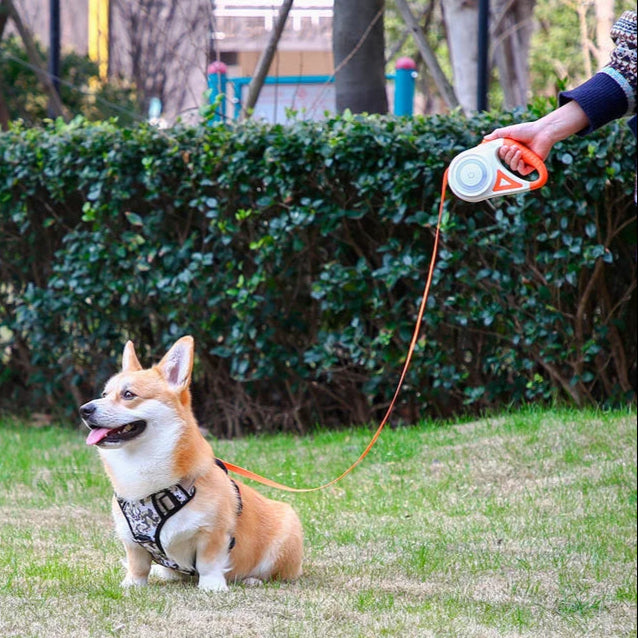 Adjustable Pet Leash With Flashlight Comfort Grip