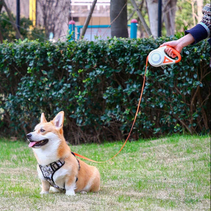 Adjustable Pet Leash With Flashlight Comfort Grip