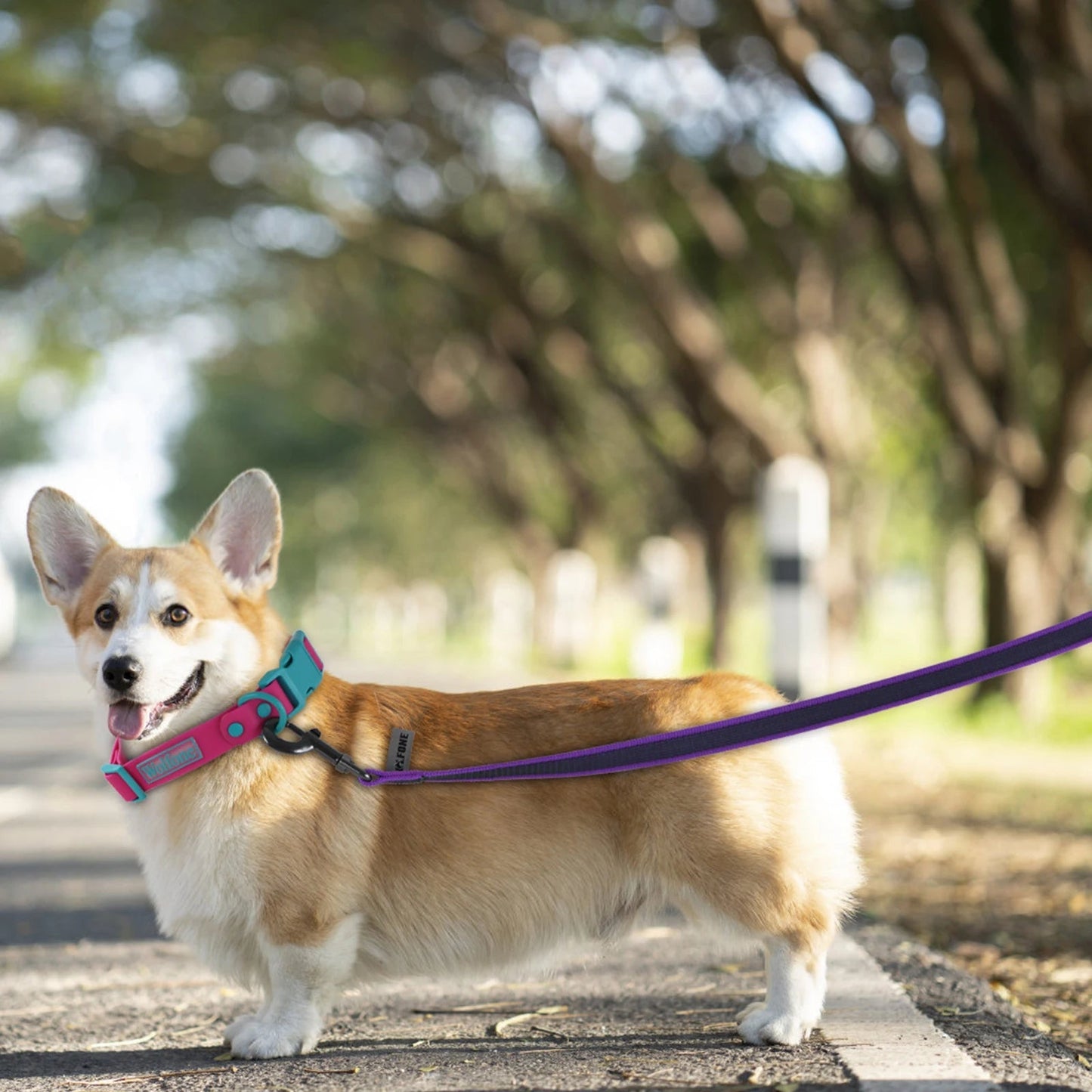 Waterproof Dog Leash Cushioned Grip