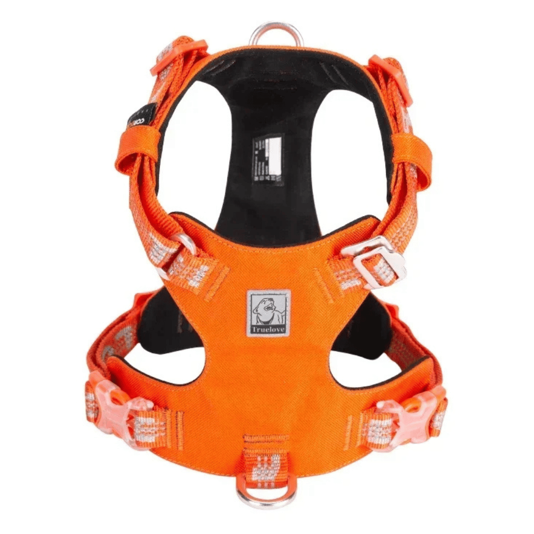 Adjustable Breathable Dog Vest