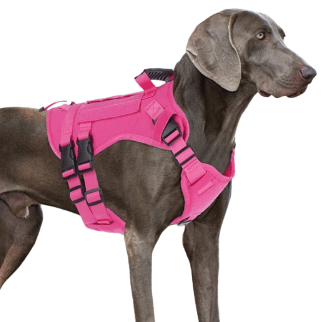 Large Breed Dog Vest With Handle Heavy Duty
