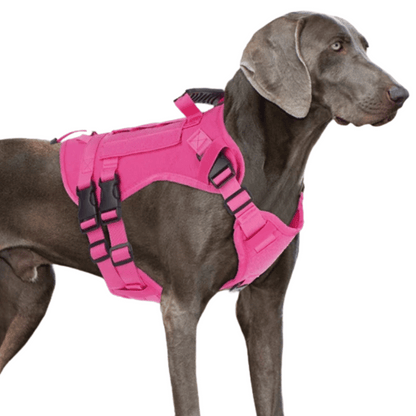 Large Breed Dog Vest With Handle Heavy Duty
