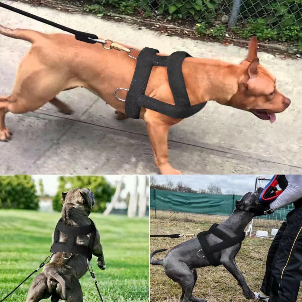 Tough Dog Pulling Harness Padded Support