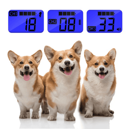 Long Range Dog Training Collar Remote Alerts