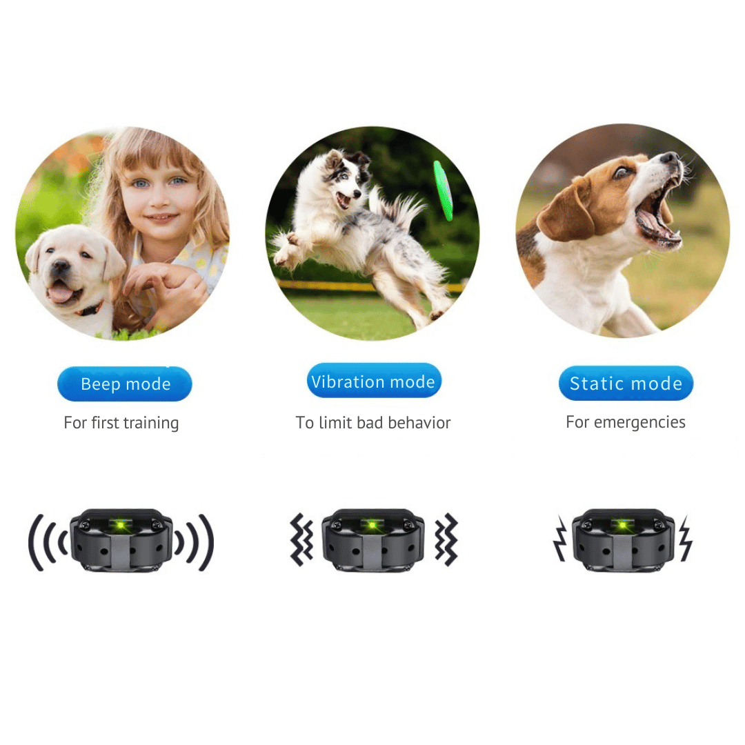 Long Range Dog Training Collar Remote Alerts