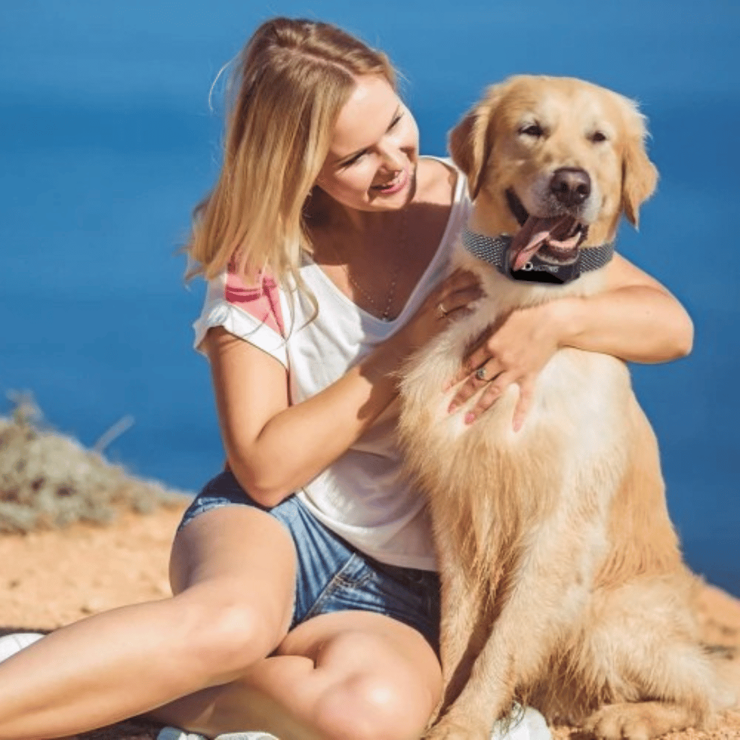 Rechargeable Dog Training Collar LCD Controller