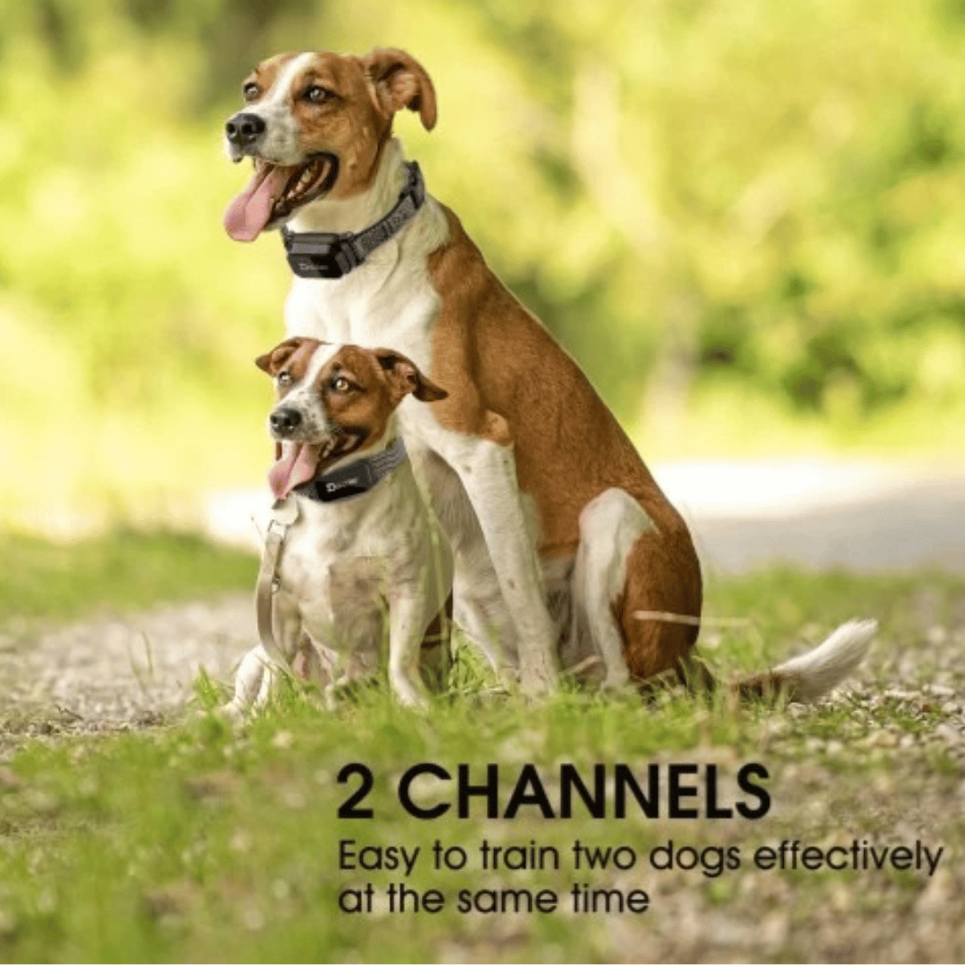Rechargeable Dog Training Collar LCD Controller